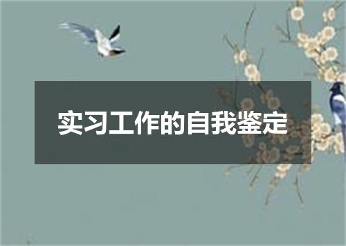 实习工作的自我鉴定