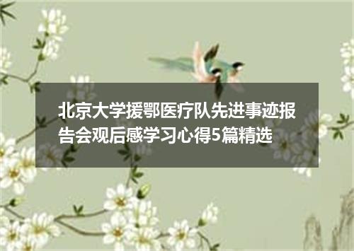北京大学援鄂医疗队先进事迹报告会观后感学习心得5篇精选