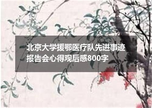 北京大学援鄂医疗队先进事迹报告会心得观后感800字