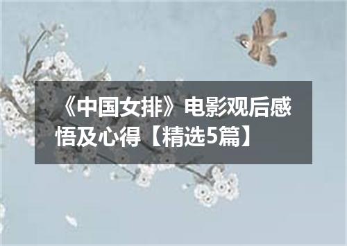 《中国女排》电影观后感悟及心得【精选5篇】