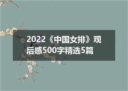 2022《中国女排》观后感500字精选5篇
