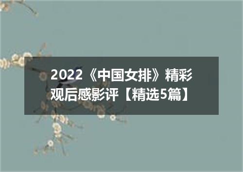 2022《中国女排》精彩观后感影评【精选5篇】