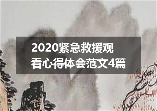 2020紧急救援观看心得体会范文4篇