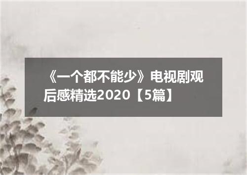 《一个都不能少》电视剧观后感精选2020【5篇】