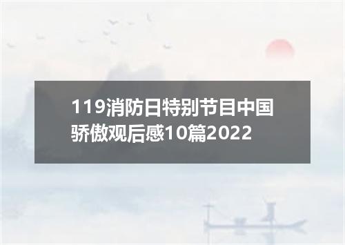 119消防日特别节目中国骄傲观后感10篇2022