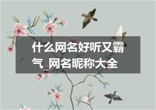 什么网名好听又霸气_网名昵称大全