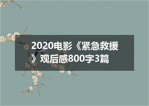 2020电影《紧急救援》观后感800字3篇