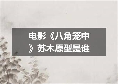 电影《八角笼中》苏木原型是谁