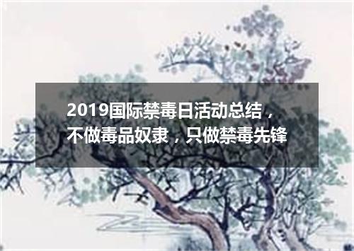 2019国际禁毒日活动总结，不做毒品奴隶，只做禁毒先锋