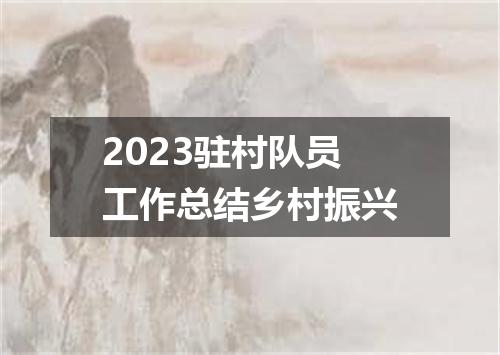 2023驻村队员工作总结乡村振兴