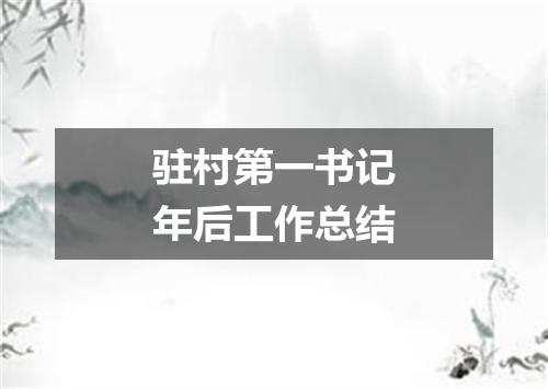 驻村第一书记年后工作总结