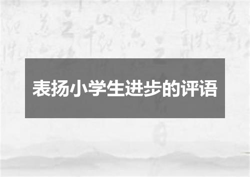 表扬小学生进步的评语