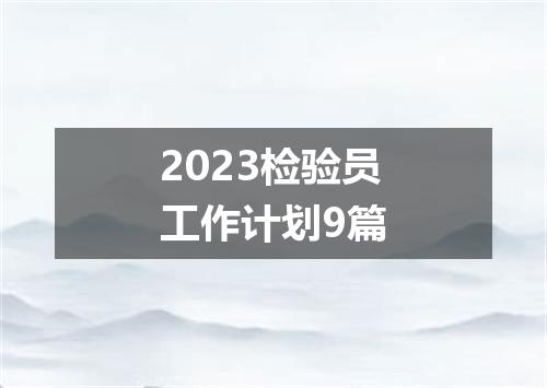 2023检验员工作计划9篇