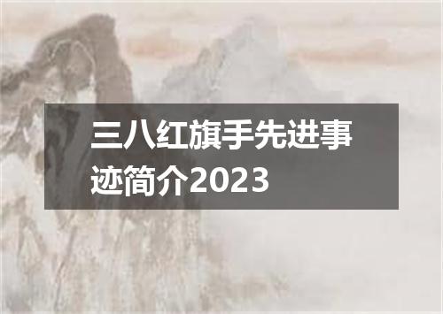 三八红旗手先进事迹简介2023