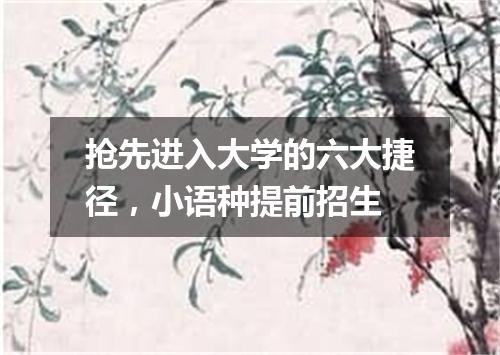 抢先进入大学的六大捷径，小语种提前招生
