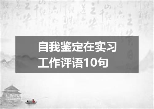 自我鉴定在实习工作评语10句