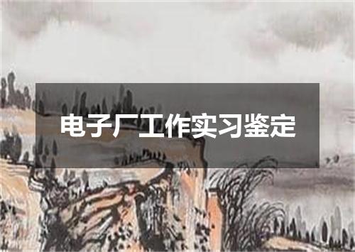 电子厂工作实习鉴定