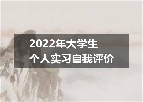 2022年大学生个人实习自我评价