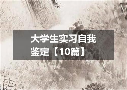 大学生实习自我鉴定【10篇】