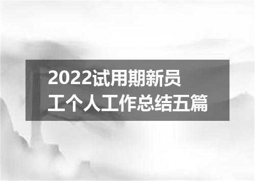 2022试用期新员工个人工作总结五篇