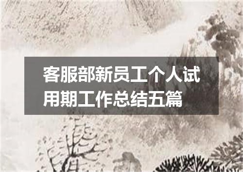 客服部新员工个人试用期工作总结五篇