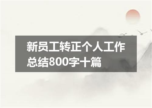 新员工转正个人工作总结800字十篇