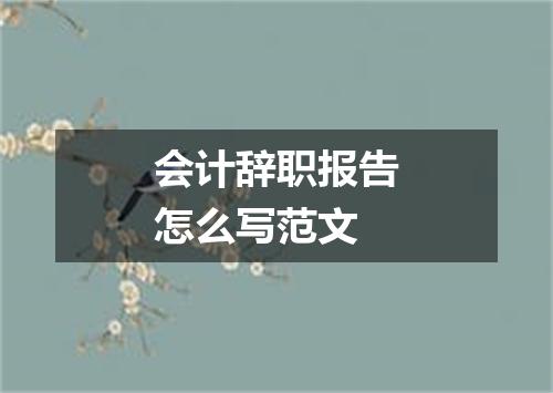 会计辞职报告怎么写范文