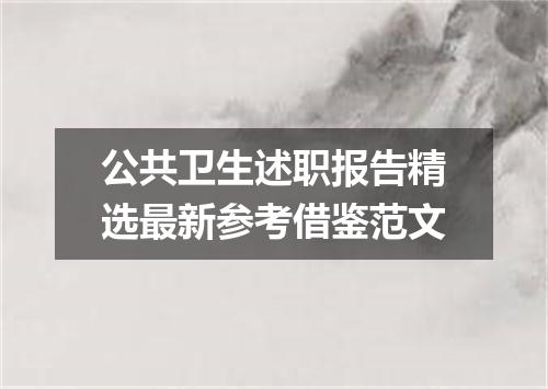 公共卫生述职报告精选最新参考借鉴范文