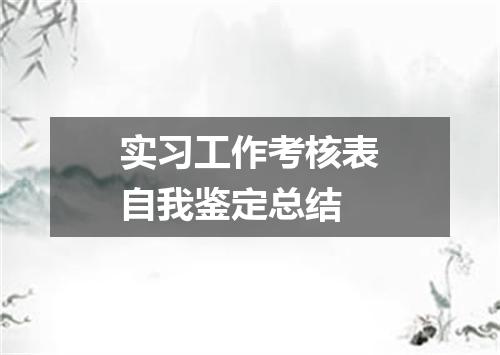 实习工作考核表自我鉴定总结