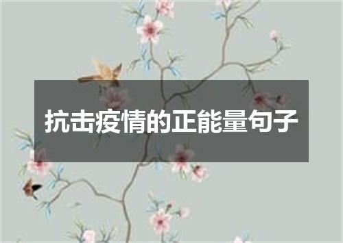 抗击疫情的正能量句子