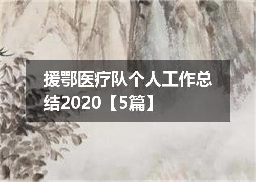 援鄂医疗队个人工作总结2020【5篇】