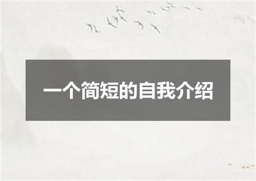 一个简短的自我介绍