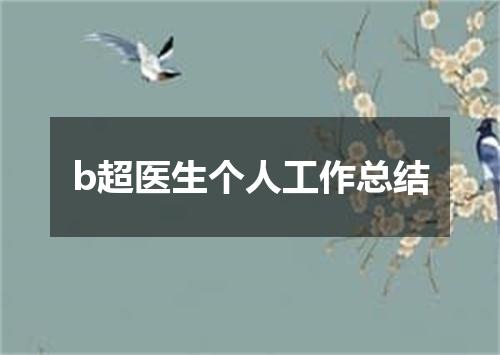 b超医生个人工作总结