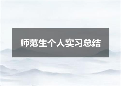 师范生个人实习总结