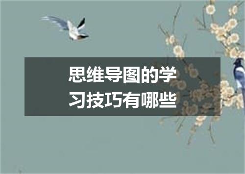 思维导图的学习技巧有哪些