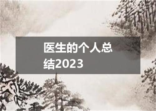 医生的个人总结2023