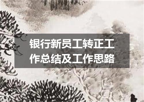 银行新员工转正工作总结及工作思路
