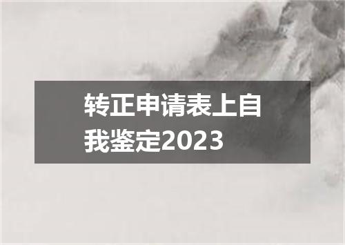 转正申请表上自我鉴定2023