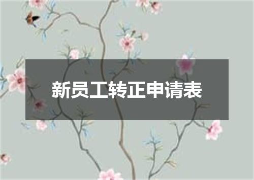 新员工转正申请表