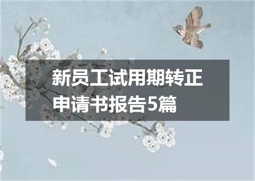 新员工试用期转正申请书报告5篇