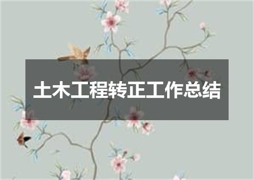 土木工程转正工作总结