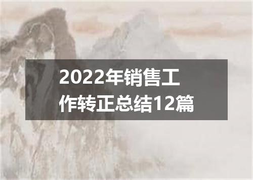 2022年销售工作转正总结12篇