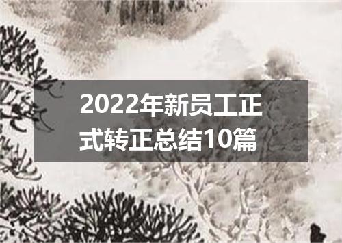 2022年新员工正式转正总结10篇