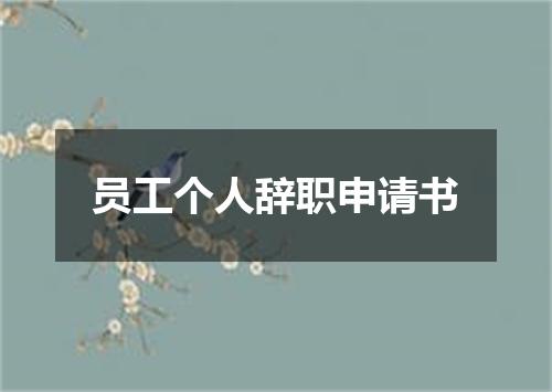 员工个人辞职申请书
