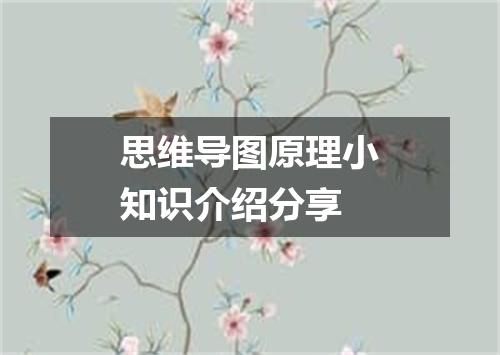 思维导图原理小知识介绍分享