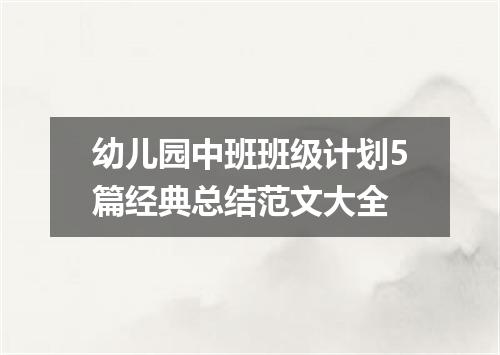 幼儿园中班班级计划5篇经典总结范文大全