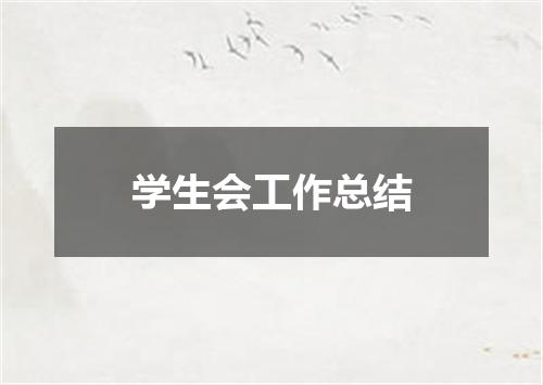 学生会工作总结