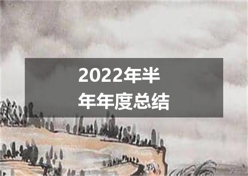 2022年半年年度总结