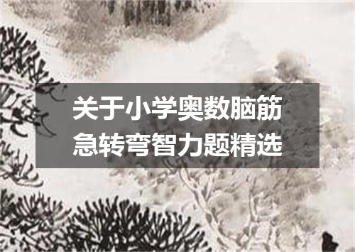 关于小学奥数脑筋急转弯智力题精选