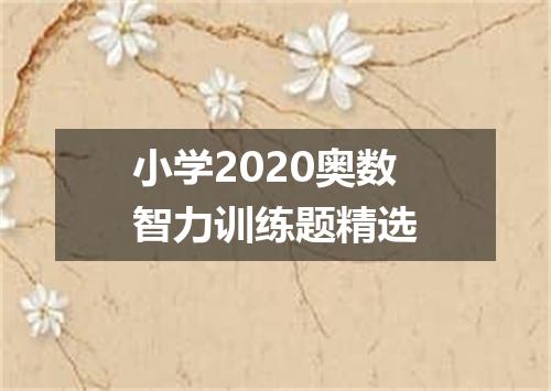 小学2020奥数智力训练题精选